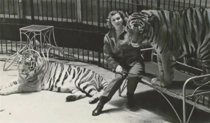 Маргарита стала первой женщиной, дрессировавшей тигров