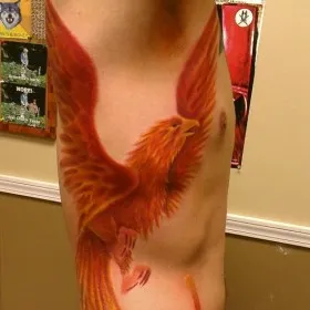 Татуировка на боку парня - жар-птица