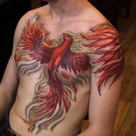Татуировка на груди у парня - жар птица