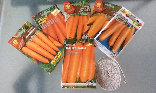 Сорта зимней моркови