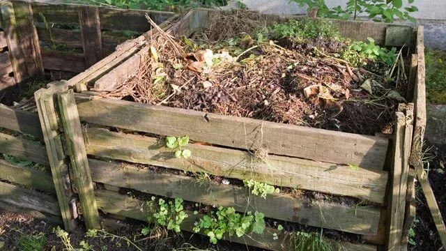 Что делать с растительным мусором и отходами на даче
