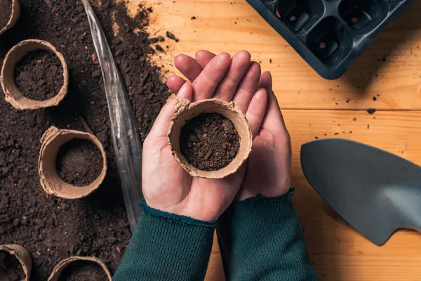 Почва для выращивания огурца должна быть питательной и хорошо проницаемой