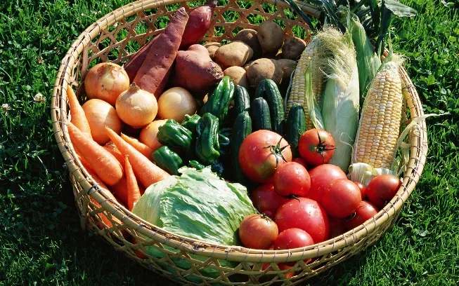 Можно лук, клубнику, огурцы, помидоры, капусту сажать после картофеля?