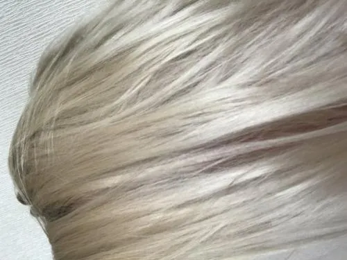 Как перекраситься из блондинки в темно русый. Как подобрать цвет волос после осветления 03