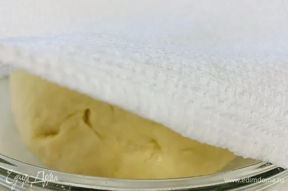Собираем тесто в шар и отправляем в миску, смазанную растительным маслом. Обваливаем тесто со всех сторон в миске, чтобы оно покрылось легким слоем масла, и накрываем его влажным (не мокрым!) полотенцем. Убираем в теплое место на 1–1,5 часа.