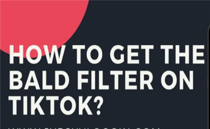 Изображение того, как получить лысый фильтр на TikTok