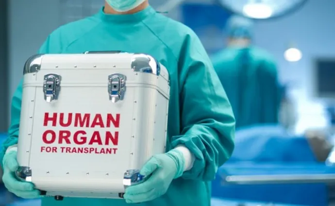 Контейнер с органами в руках врача