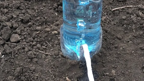 Система капельного полива на 30 дней из пластиковой бутылки