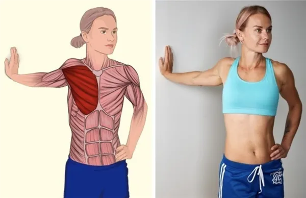 Упражнения для растяжки мышц груди