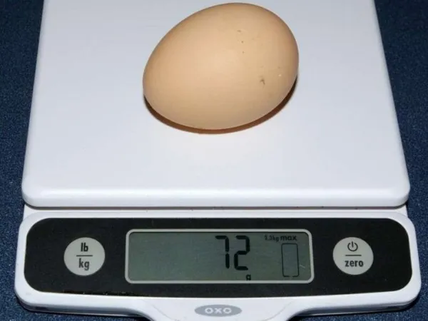 Какое яйцо тяжелее вареное или сырое