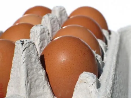 Как определить тухлое яйцо разбив. Совет 2 : Как определить свежие яйца