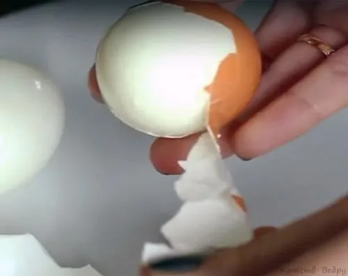 Как определить свежесть вареных яиц. Как проверить яйца на свежесть в домашних условиях