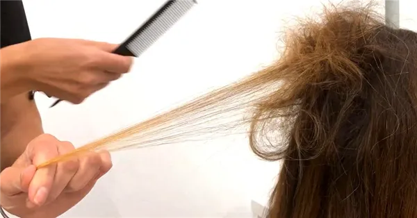 Процесс начеса волос для окрашивания шатуш
