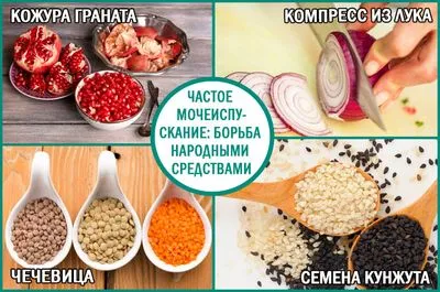 Народные средства для лечения частого мочеиспускания