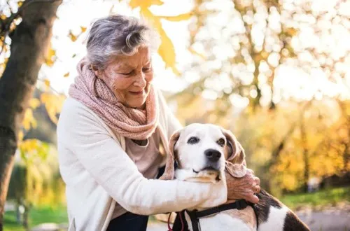 пенсионерка с собакой