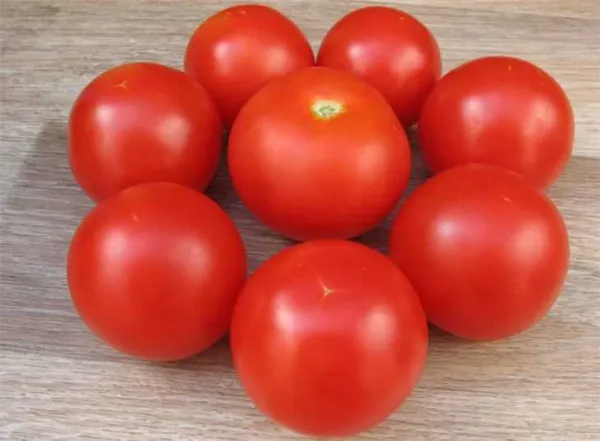 Борная кислота для томатов: применение подкормки и особенности опрыскивания томатов (125 фото)
