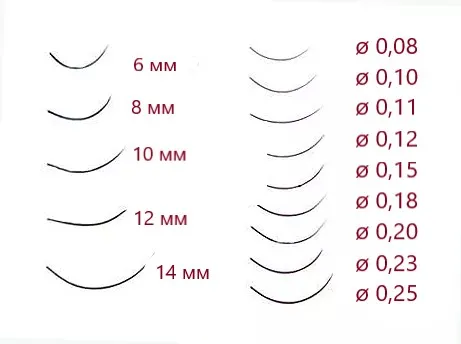 Какой толщины бывают ресницы
