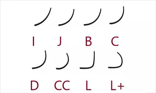 Основные виды изгибов ресниц